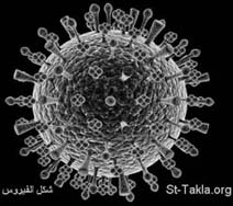 H1N1 virus 